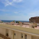 Oasis *