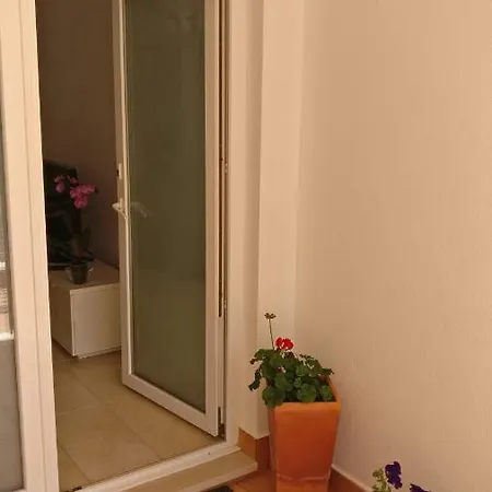 Oasis Apartment